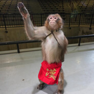 Funne Monke