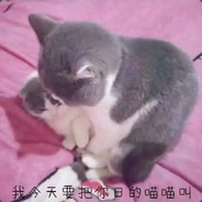 你眼睛让屁股给坐住啦