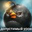 допустимий урон