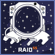 raid55