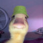 doctor duck