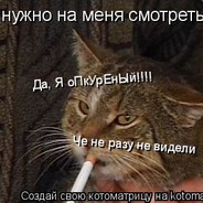 Обкуренный--_--К_оТ