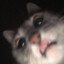 NGG