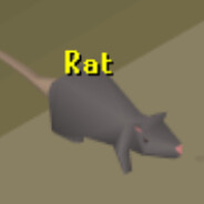 RAT