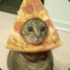 Pizza cat