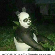 KungFuPanda