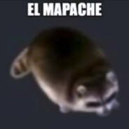 EL MAPACHE