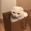 烂