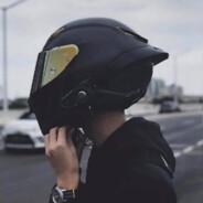 愿与秋风知我意。