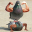 Pigeon.Muscle