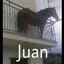 juan