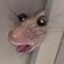 Raton SKEREEEEE
