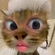 老己瞄不准就别起狙了