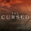 Cursed Acc | Cursed Guy