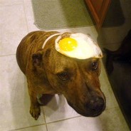 Dog Egg
