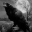 raven