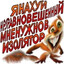 ляпка изолятора