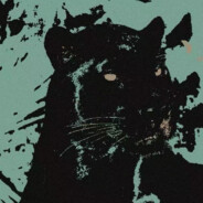 我拥有的都是侥幸啊