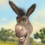 Donkey