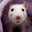 Mr. Rat
