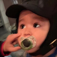 紫罗兰永世长长存