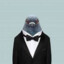 Pigeon Businessman
