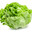 Lettuce