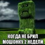 когда не брил мош