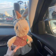 林北不爱吃海鲜