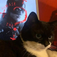 没能成为你的例外