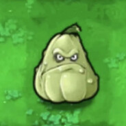 第一自由人窝瓜