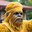 That_Yellow_Wookie11