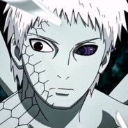 我要的是司丹康！司丹康！！！