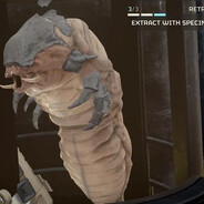 Jimmy The Larva