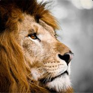 我们曾经是战士