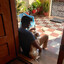 ★Chris_Kyle