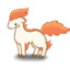 Ponyta🚗