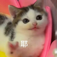 @哈哈哈哈哈哈哈哈的我