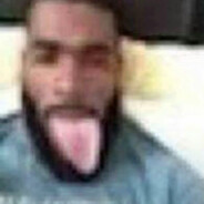 адамка дыров