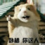 銼付了时光
