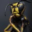 Wasp