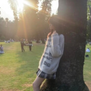 猫跟你都想了解