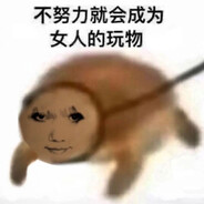 炭包包