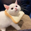 BabyToast