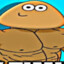 pipipipi