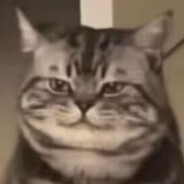 满地兔子我屎最圆