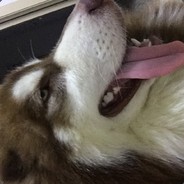 A-沈阳启涟代账