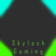 Skylash