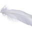 feather