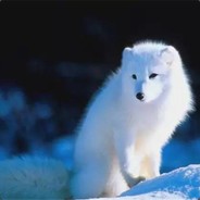 队友都是上辈子的天使